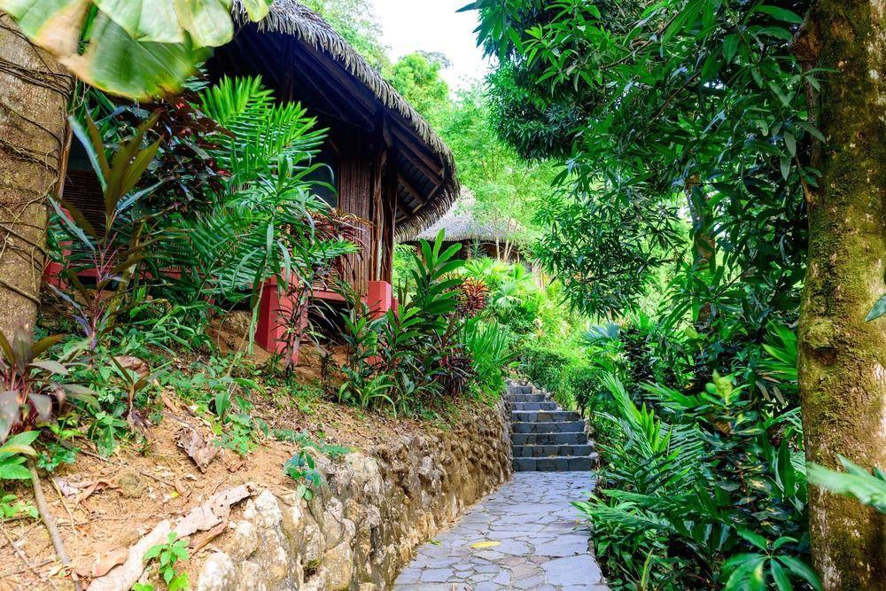 Luna Lodge Carate Exterior photo