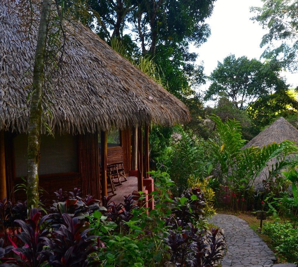 Luna Lodge Carate Exterior photo