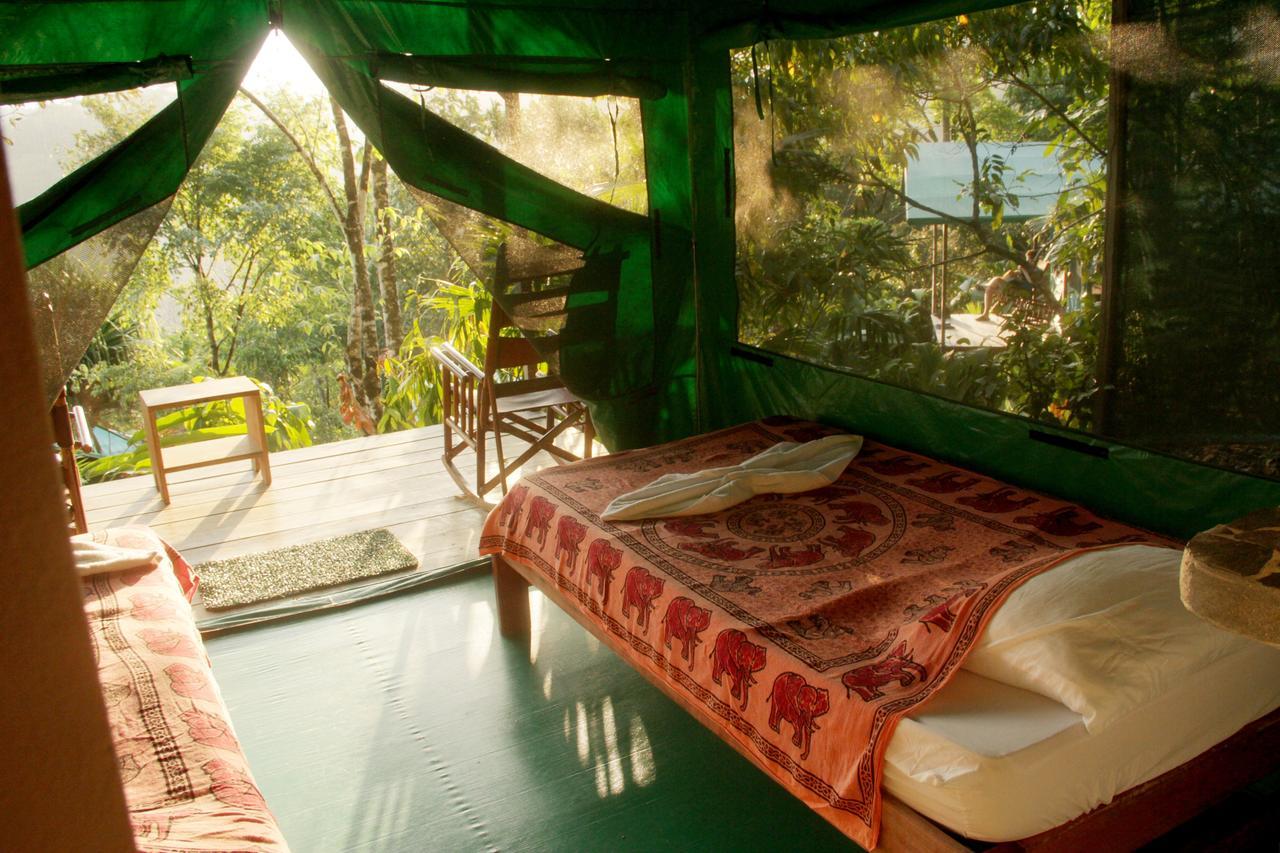 Luna Lodge Carate Room photo